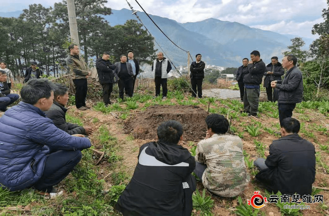 西舍路镇最新新闻报道