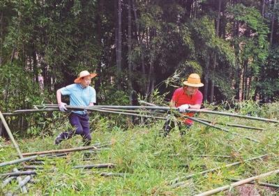 北塘区住房和城乡建设局最新发展规划