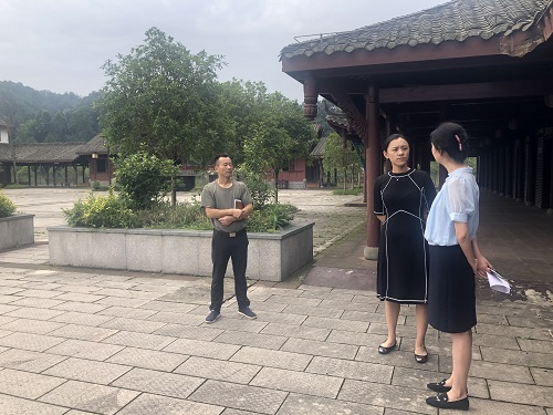 雨城区文化广电体育和旅游局最新项目，塑造城市文化新面貌，推动文旅融合发展