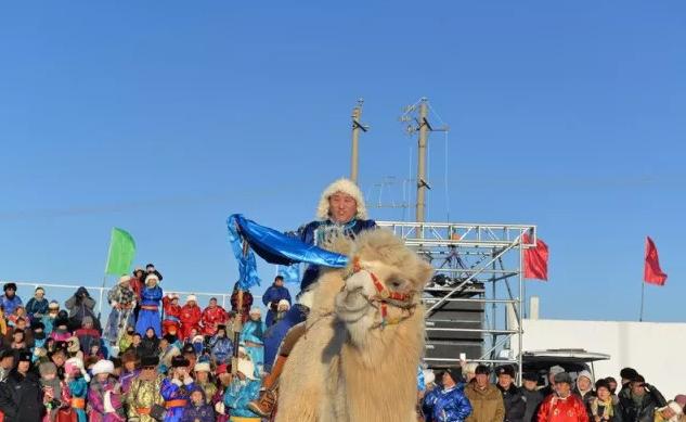 苏尼特右旗农业农村局新项目推动农业现代化助力乡村振兴