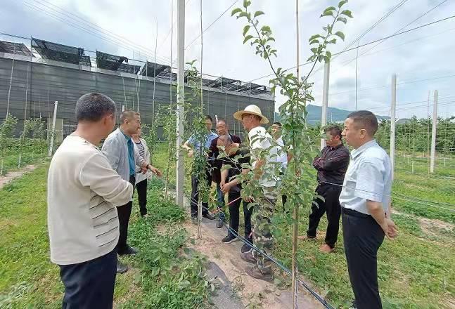 凤县交通运输局发展规划揭秘，构建现代化综合交通体系新篇章