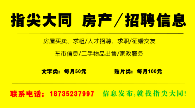 新抚区财政局最新招聘信息概览