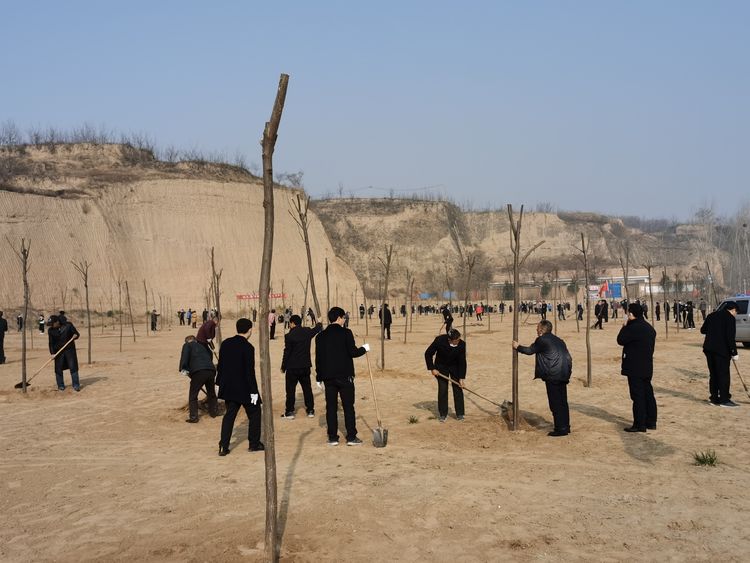 山西省运城市芮城县陌南镇最新项目，繁荣发展的动力之源