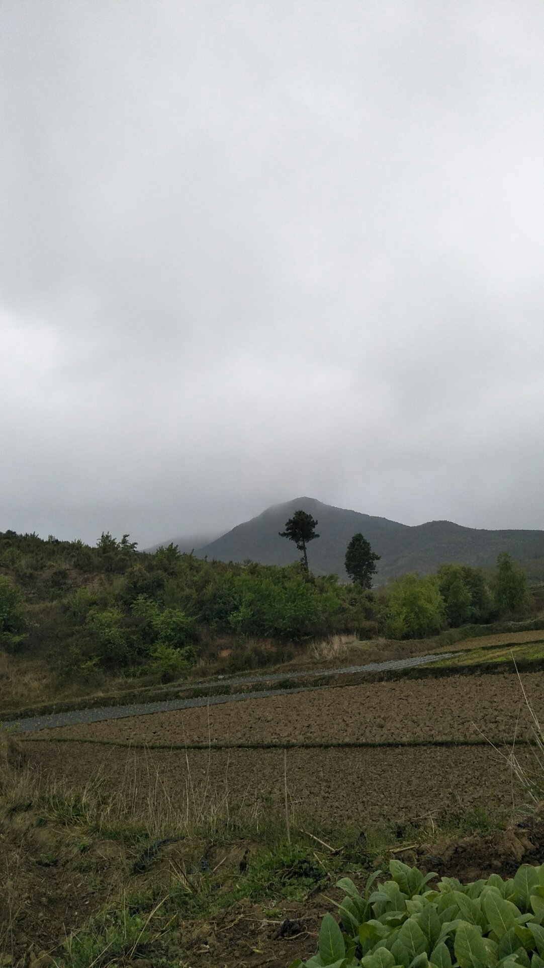 小铺乡天气预报更新通知