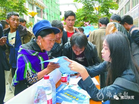 布拖县人民政府办公室最新招聘公告解读