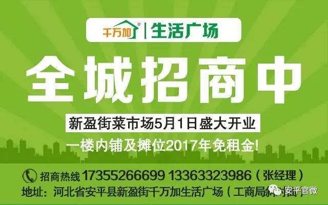 六枝特区人力资源和社会保障局最新招聘全解析