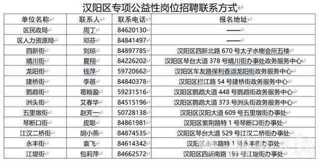 汉屯路街道最新招聘信息概览