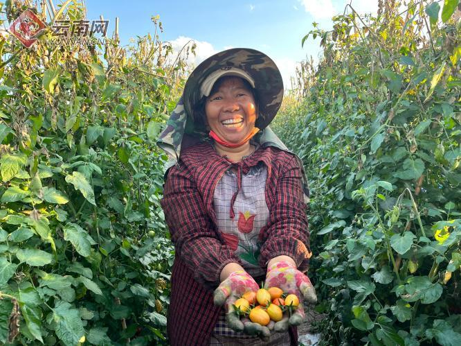 元江哈尼族彝族傣族自治县住建局人事任命，县域建设事业迎新篇章