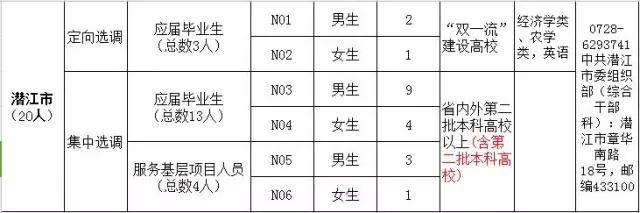 江城区初中招聘启事全新发布