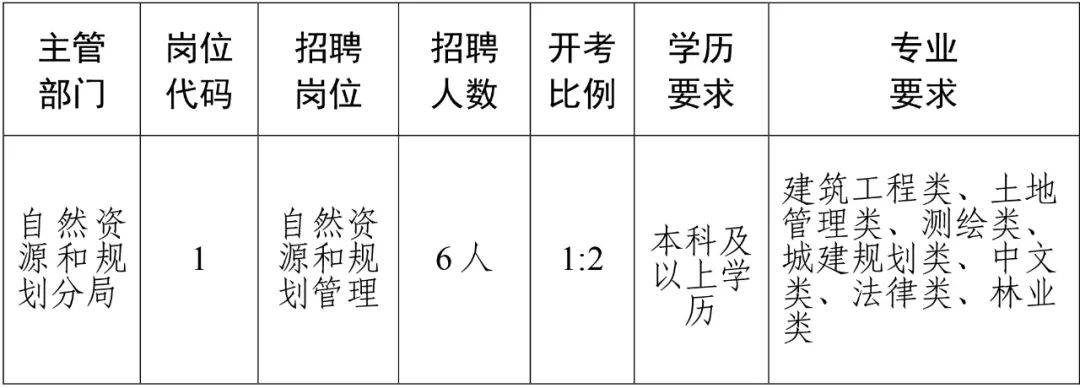 滴道区人民政府办公室最新招聘公告全解析